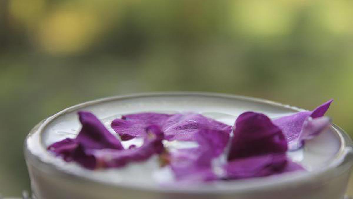 Simple kheer made with Sita Phal The Hindu